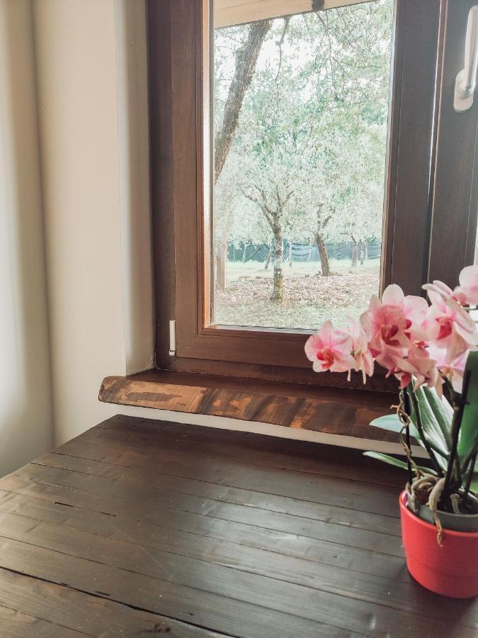 Bed and Breakfast Casale Dei Ricordi Arce Exterior foto