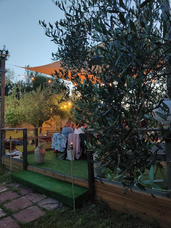 Bed and Breakfast Casale Dei Ricordi Arce Exterior foto