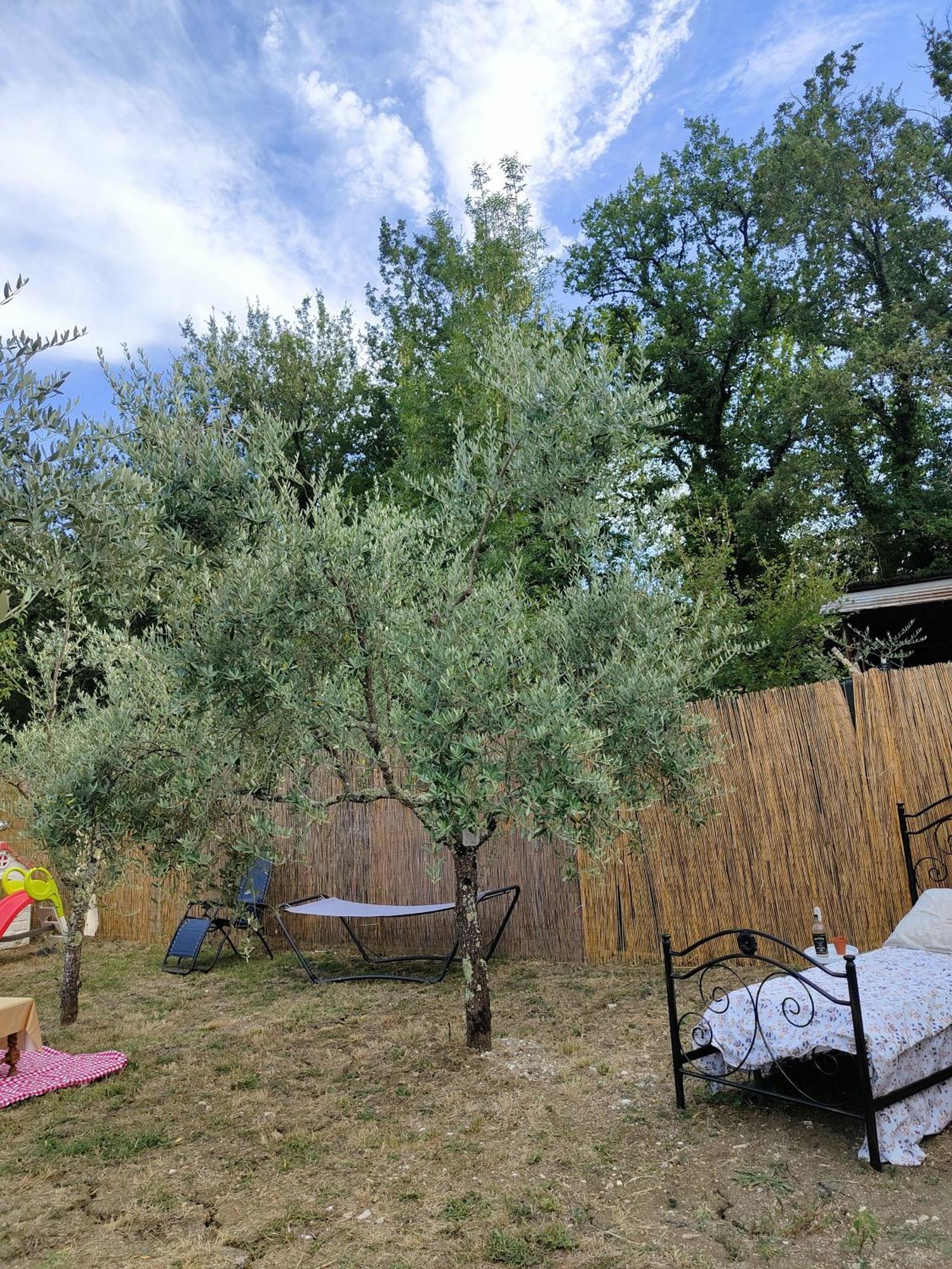 Bed and Breakfast Casale Dei Ricordi Arce Exterior foto